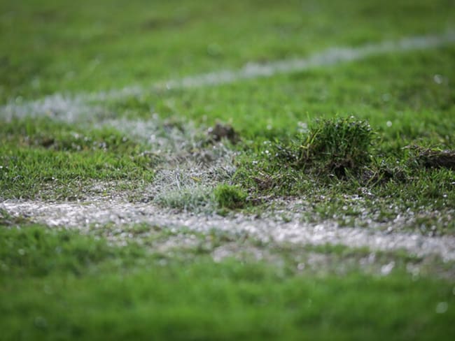 Estado de la cancha del estadio El Campín / Colprensa.