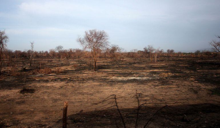 Sequía en Colombia, imagen de referencia./Cortesía