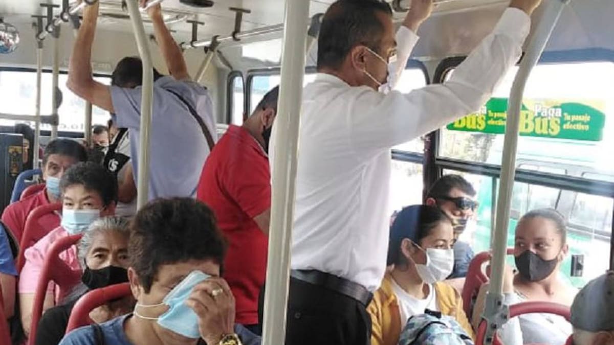 Informe tarifas buses
