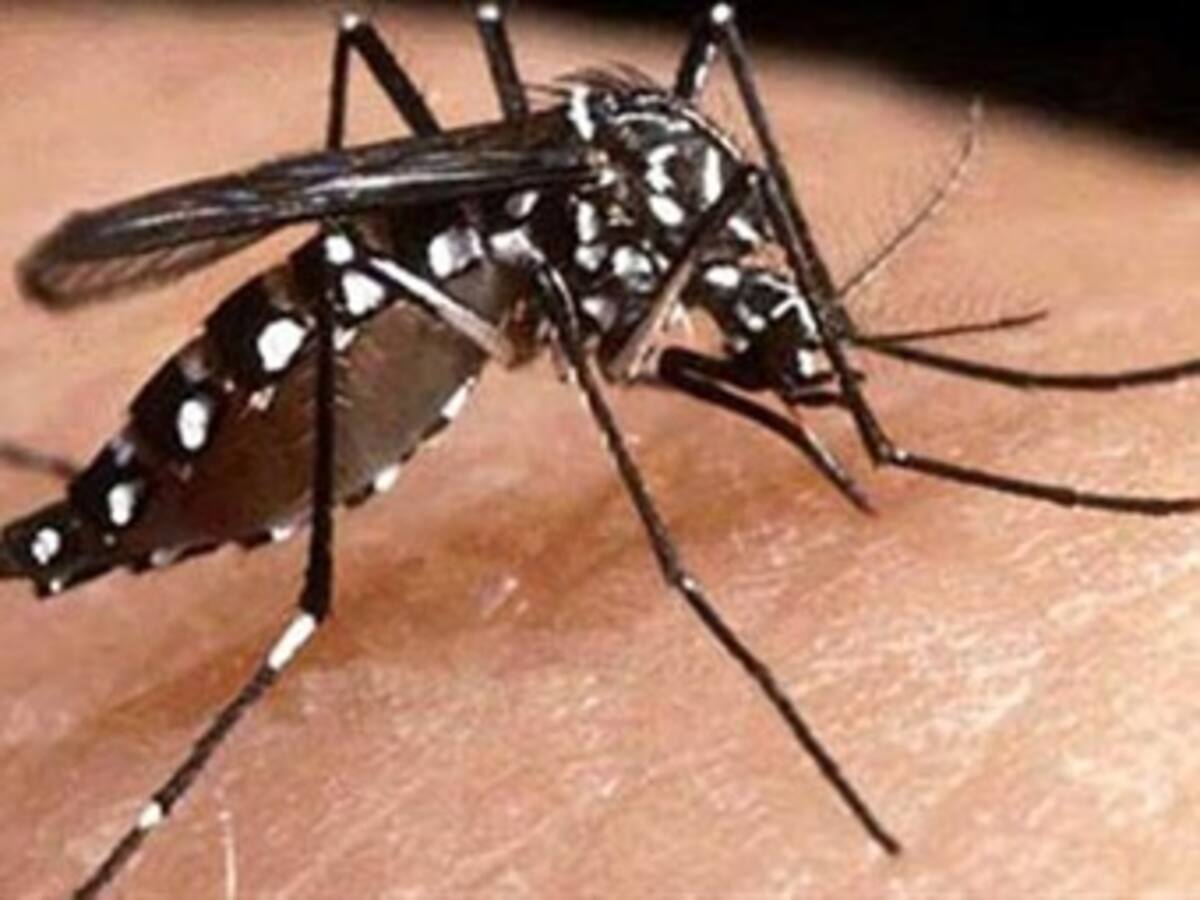 Muere otra niña por dengue en Neiva