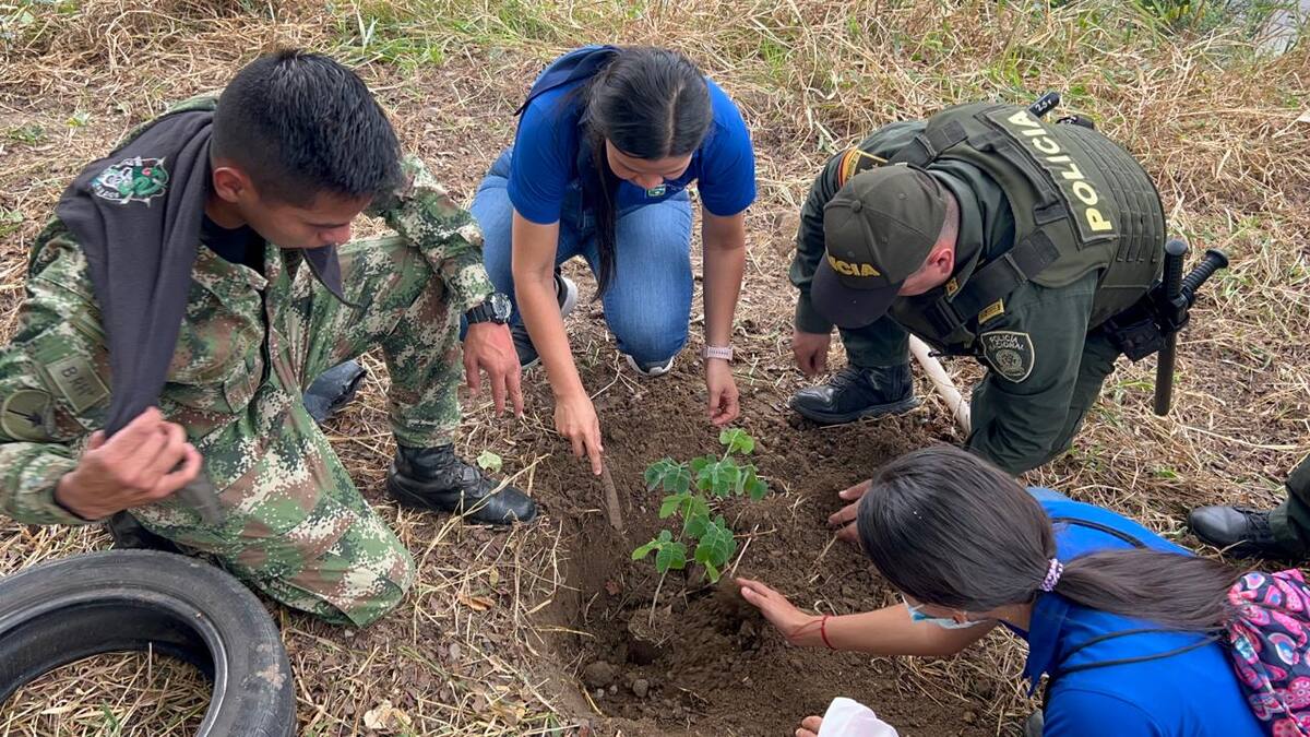Campañas de embellecimiento y ornato adelantan autoridades en Neiva
