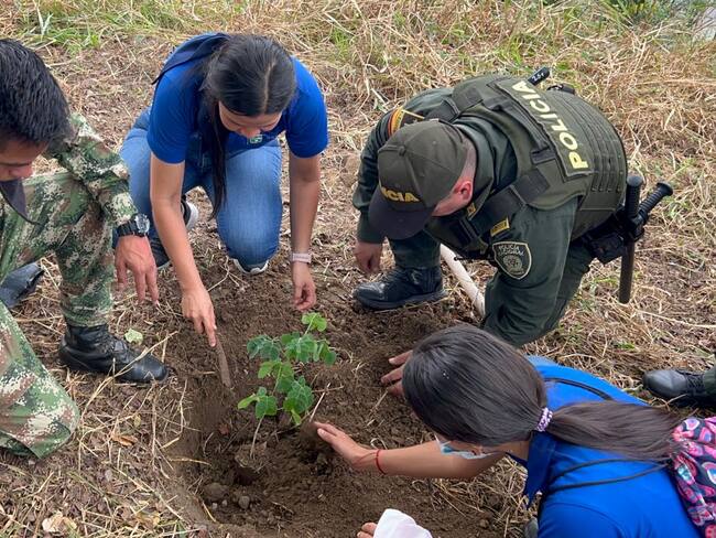 Siembra de arboles en Neiva.