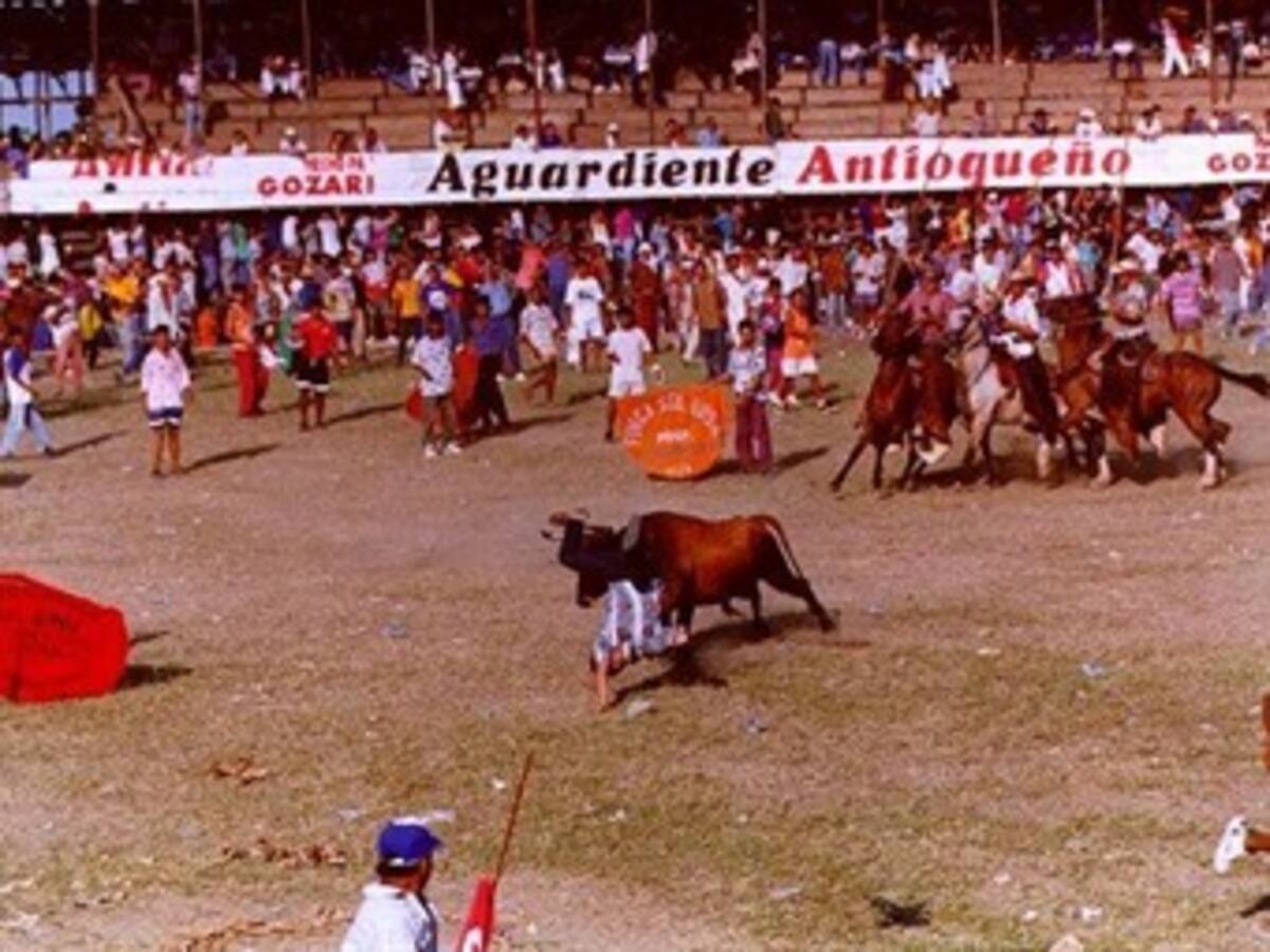 Toro embiste a dos jóvenes en cercanías a Cartagena