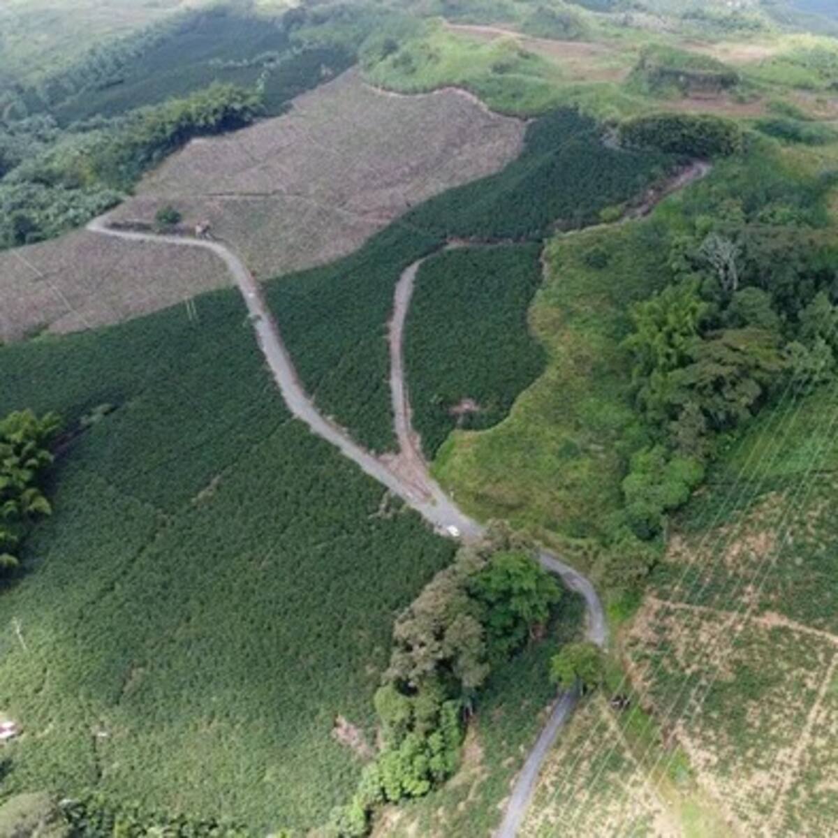 “Estamos preocupados con el aplazamiento en un mes del cronograma de licitación”: Veedor Aerocafé