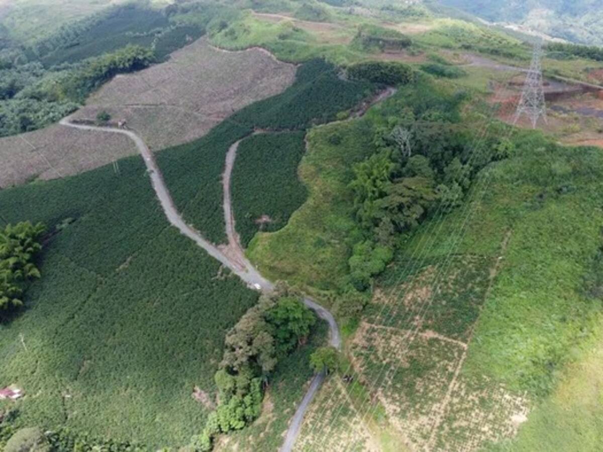 “Estamos preocupados con el aplazamiento en un mes del cronograma de licitación”: Veedor Aerocafé