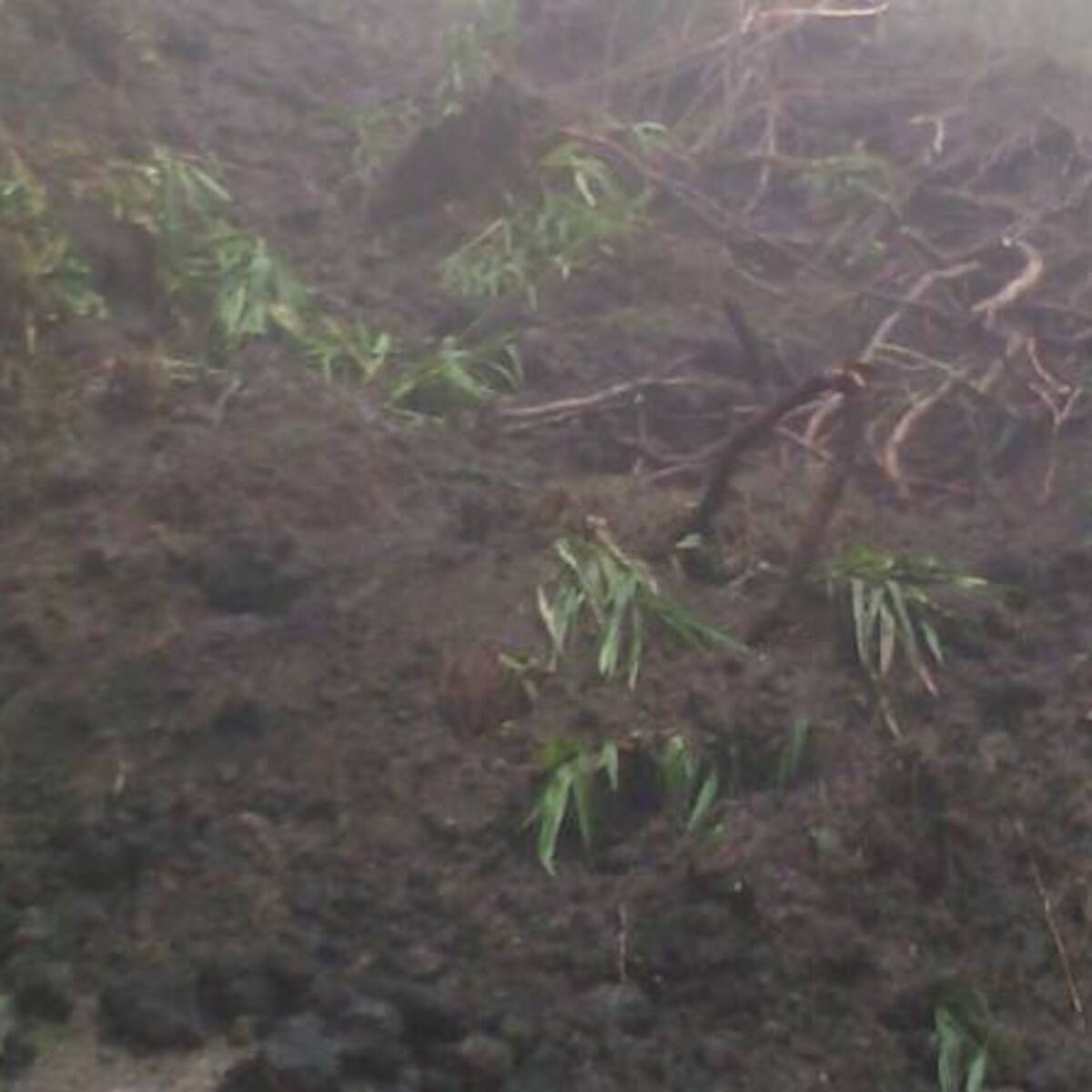 Lluvias generan derrumbes en Caldas