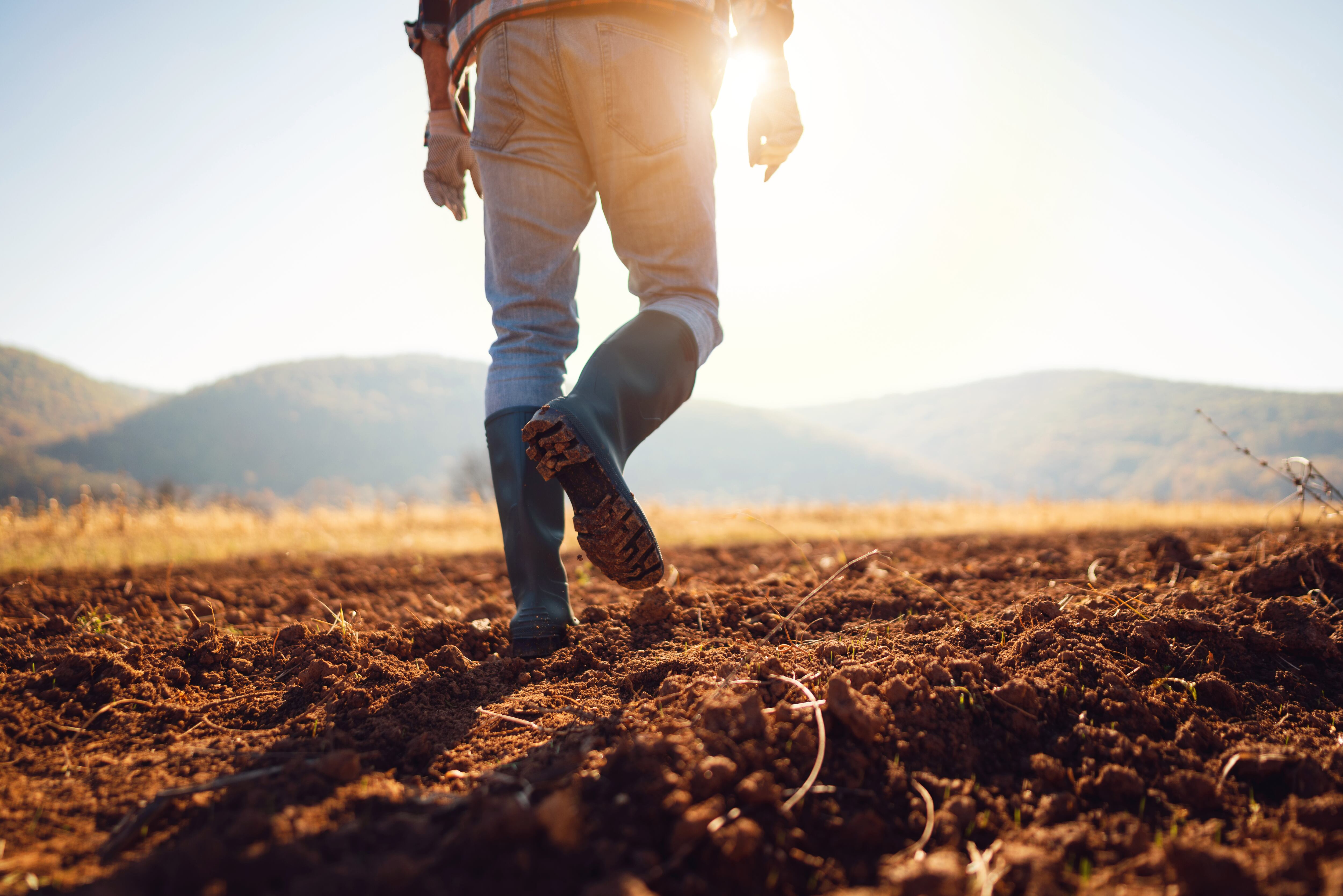 An unrecognizable farmer walking down the field in his rubber boots.