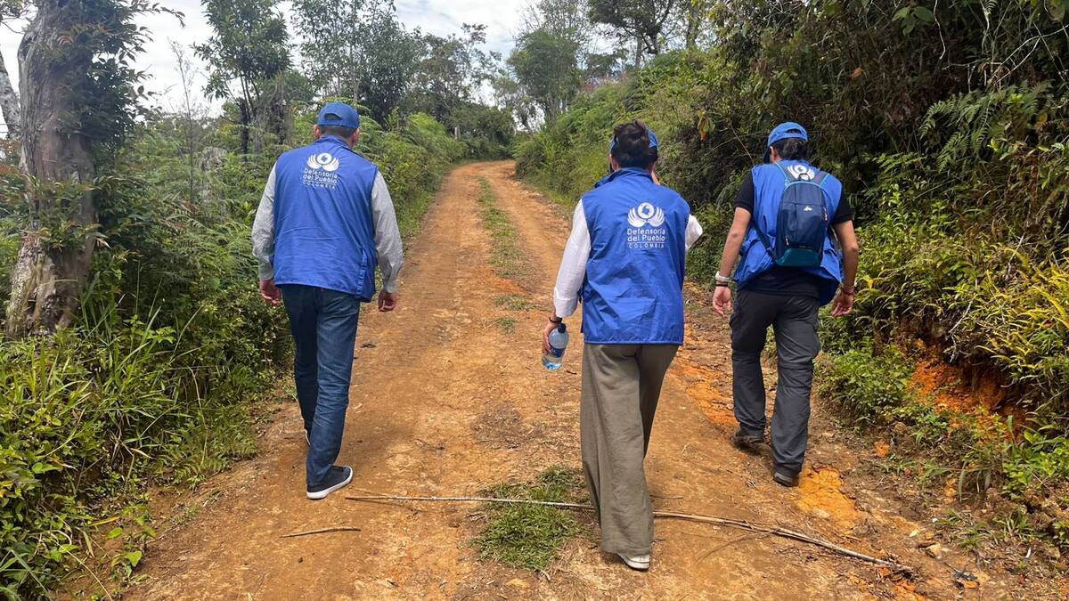Defensoría del Pueblo exige cese inmediato de ataques armados en Buenos Aires, Cauca