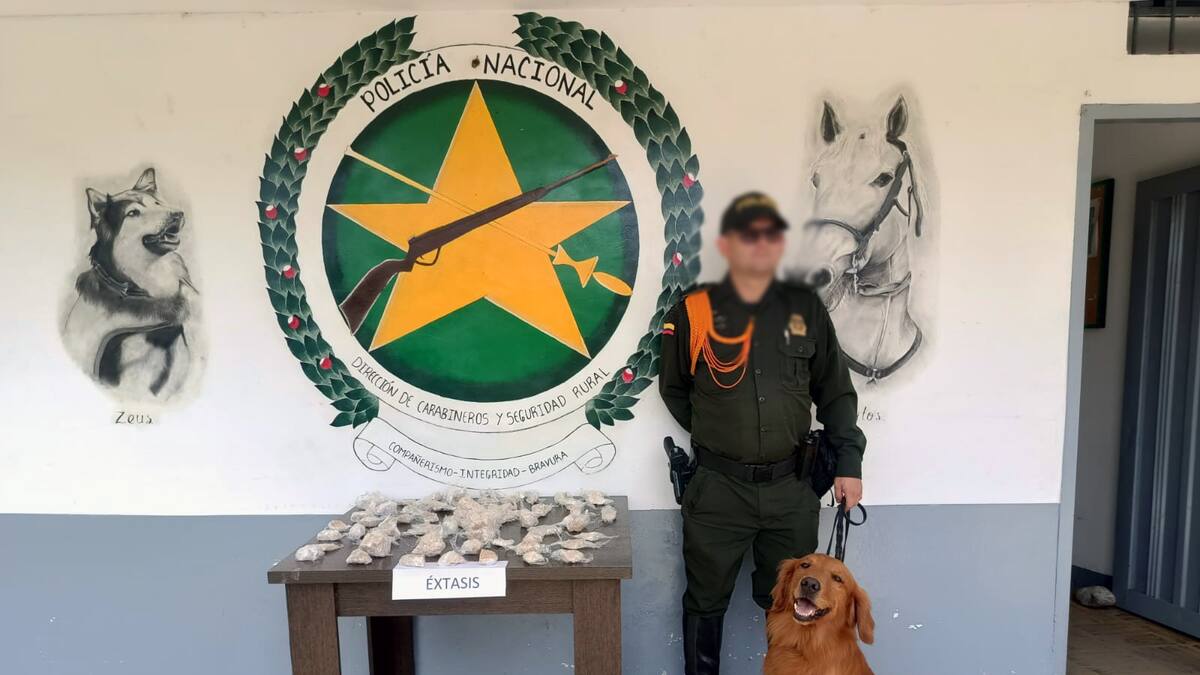 Con la ayuda de Rubén, incautaron drogas sintéticas en una bodega de Dosquebradas