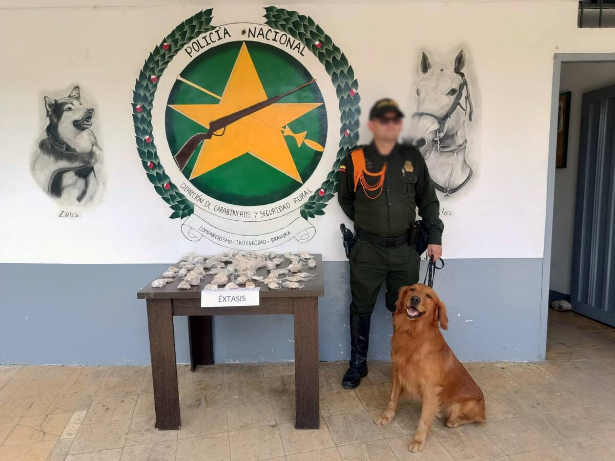 Con la ayuda de Rubén, incautaron drogas sintéticas en una bodega de Dosquebradas