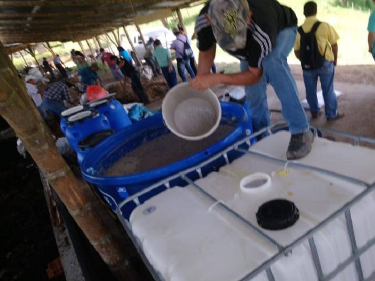 Planta de abonos orgánicos tienen en marcha campesinos de Bugalagrande