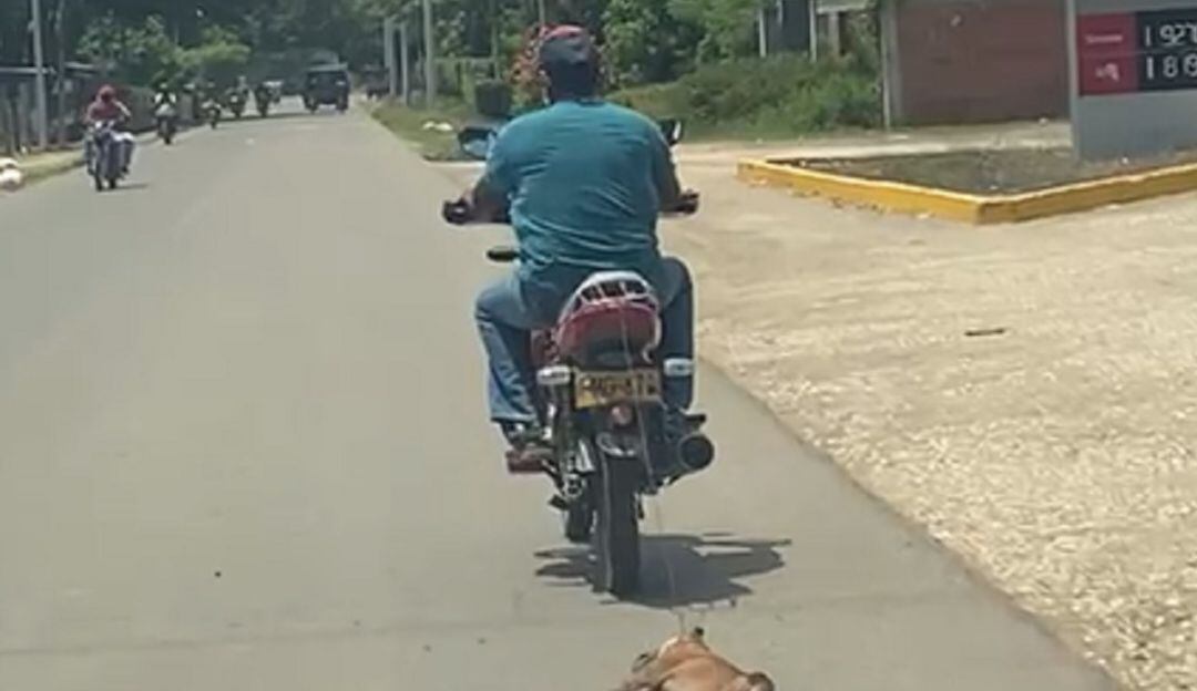 El caso ocurrió en el municipio de María La Baja. El motociclista fue sancionado por la Policía con un comparendo