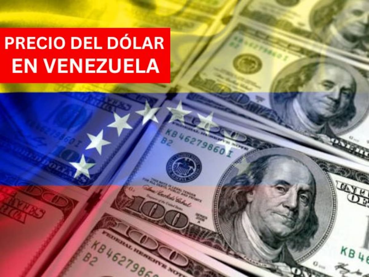 Precio del dólar en Venezuela HOY 14 de noviembre: así cierra la semana, según el BCV