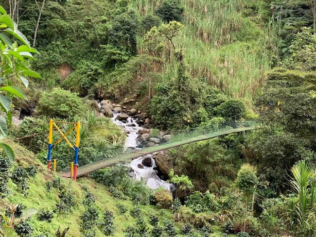 Puentes en zonas rurales de Antioquia