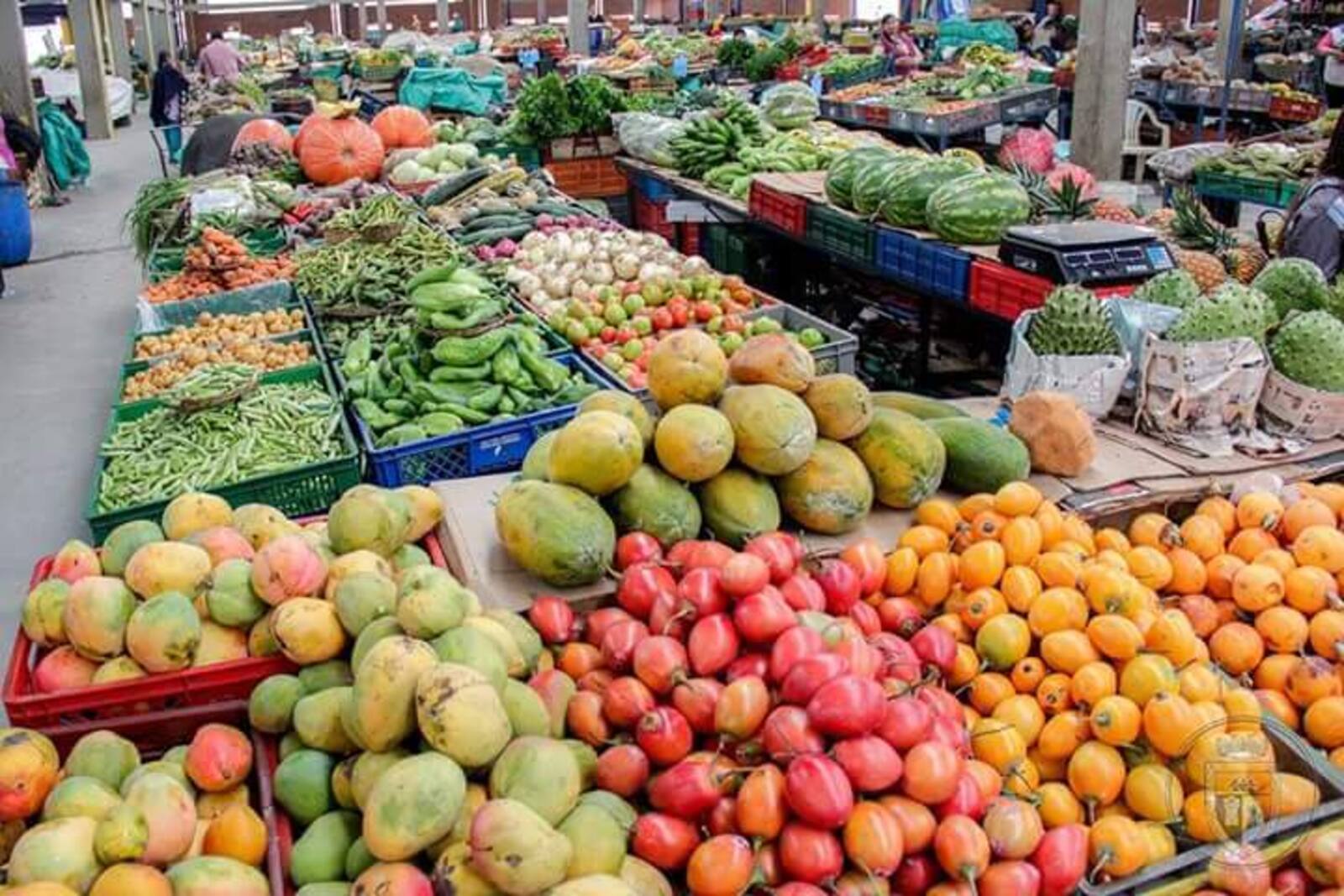 La Alcaldía de Duitama realizó mejoras en la plaza de mercado, incluyendo la recuperación de baños, adecuaciones en la zona de cárnicos y modernización del sistema de recaudo.