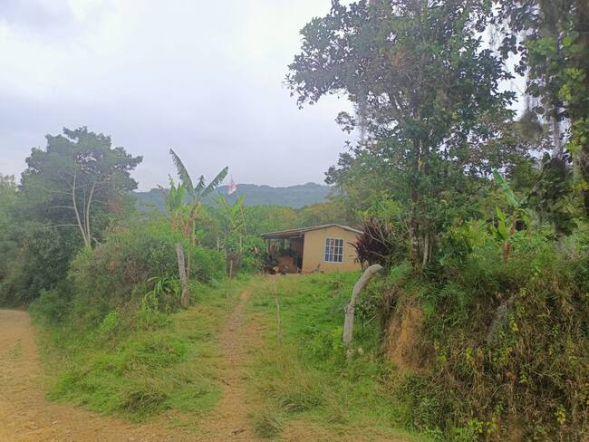 “Venían a cobrar la venganza”: Claudia González, tras homicidio en Gachantivá