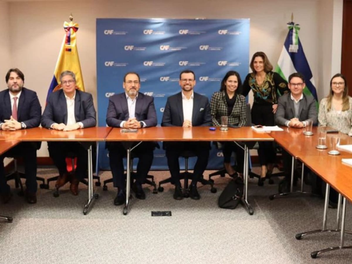 Banco de Desarrollo de América Latina invertirá en proyecto caldense