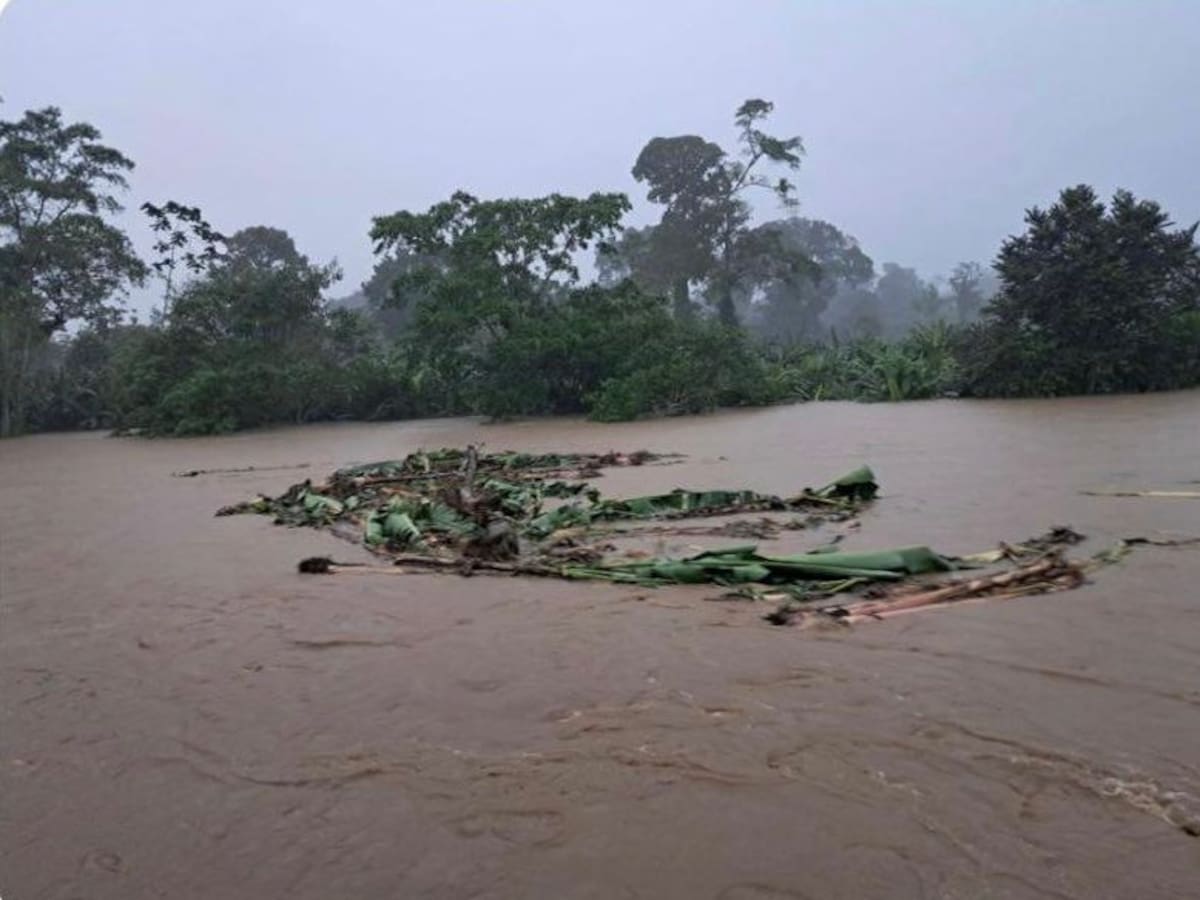 Por lluvias, 25 municipios de Chocó atienden emergencias