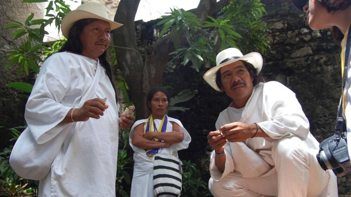 Koguis constituyen la segunda Brigada Forestal Indígena de Colombia