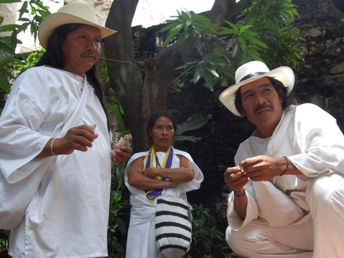 Koguis constituyen la segunda Brigada Forestal Indígena de Colombia