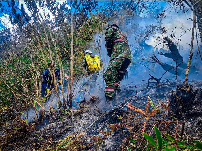 El incendio que afecta a Floresta completó 9 días, por lo que las autoridades advierten sobre los riesgos de realizar quemas en medio de las condiciones climáticas actuales.