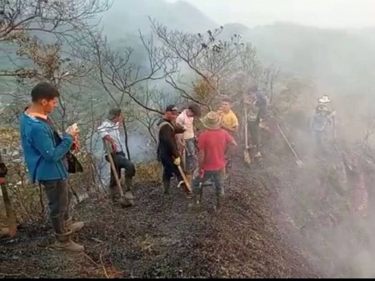 Incendio forestal consume 50 hectáreas de bosque en la Sierra Nevada
