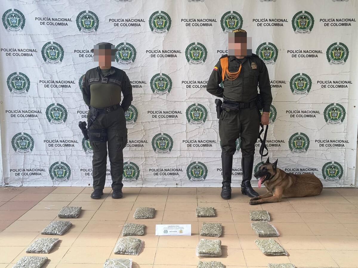 “Killer”, el perro antinarcóticos que ha logrado detectar más de 60 mil dosis de droga en Cartagena