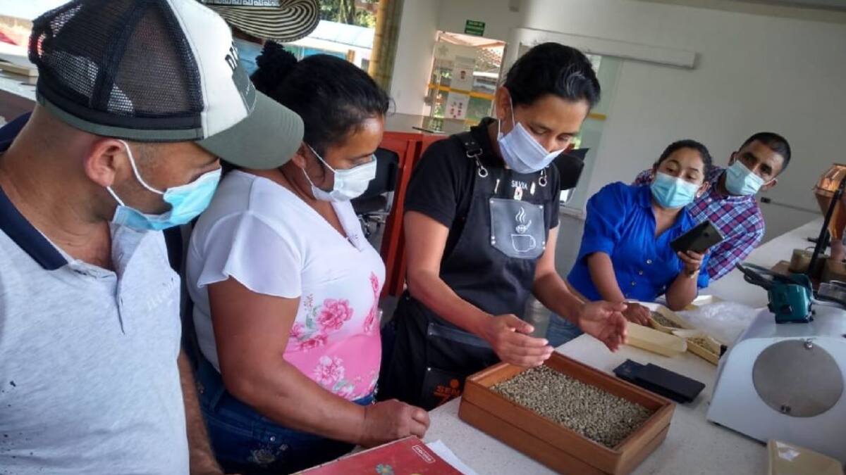 Llega la semana del café tolimense