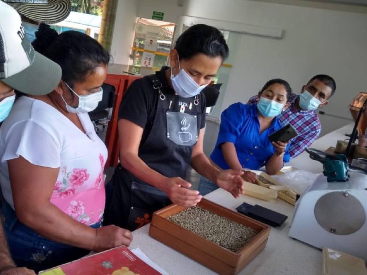 Llega la semana del café tolimense