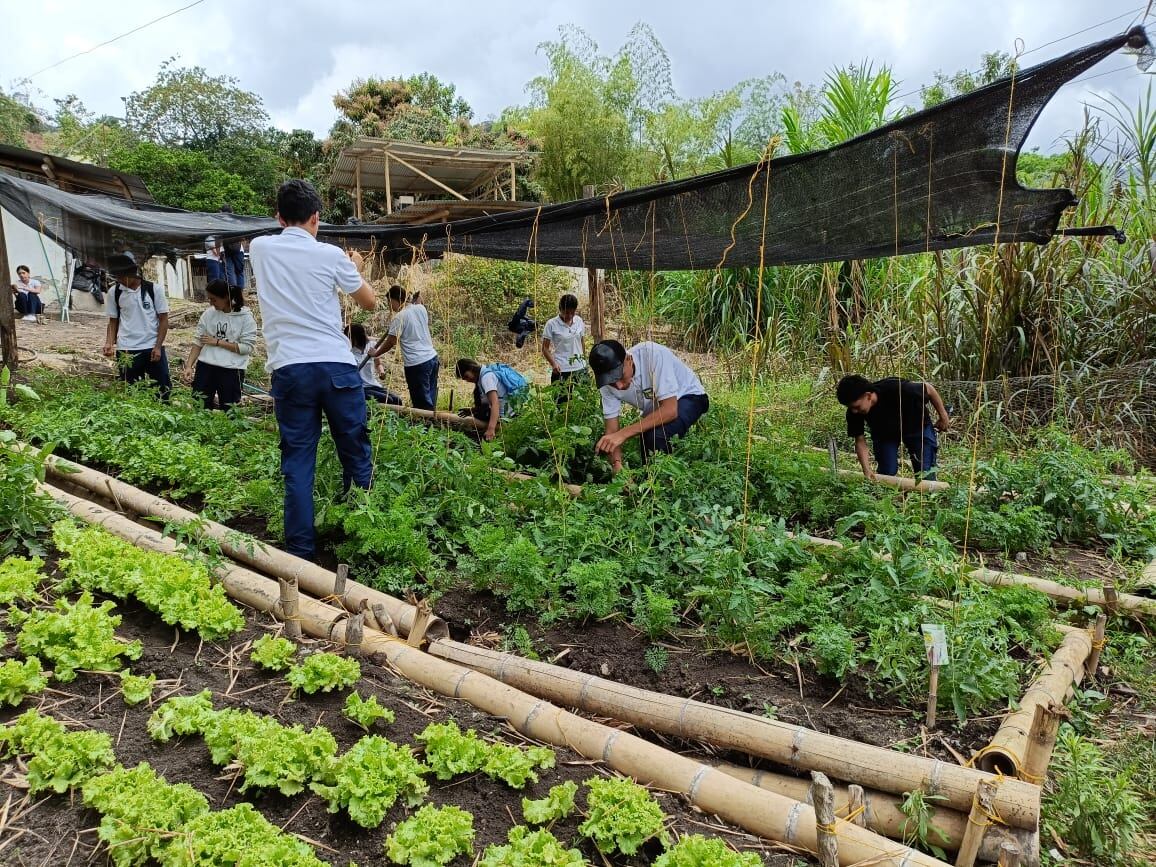 La institución educativa Ramón Alvarado Sánchez están transformando el campo con tecnología. Foto Relacionada
