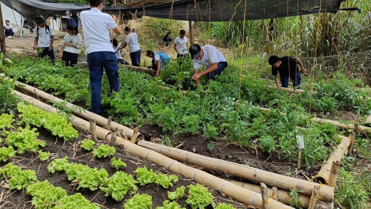 Proyecto escolar de Garzón representará al Huila en Olimpiadas Steam + Colombia