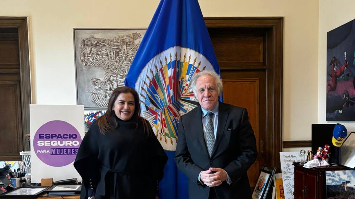 Gobernadora del Meta denuncia a “Iván Mordisco” ante la CIDH por reclutamiento de menores