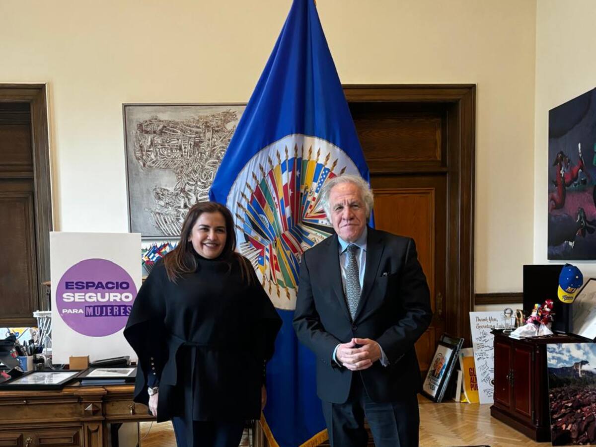 Gobernadora del Meta denuncia a “Iván Mordisco” ante la CIDH por reclutamiento de menores