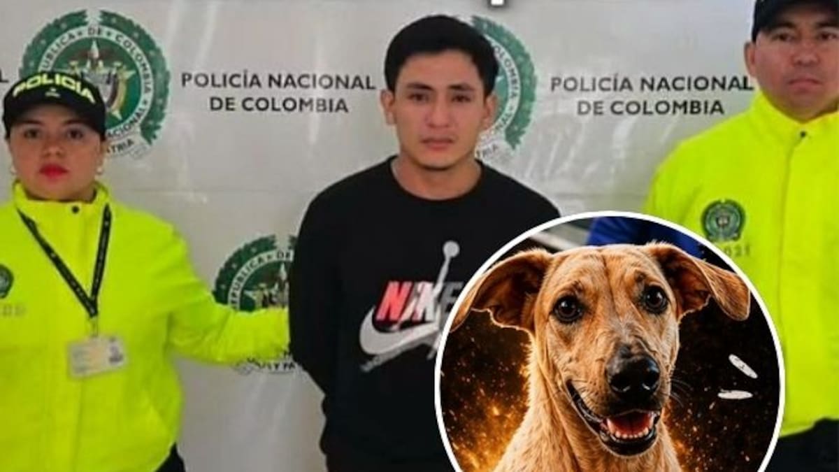 A la cárcel responsable de la muerte de Kira en Bucaramanga. Juez dicta medida de aseguramiento