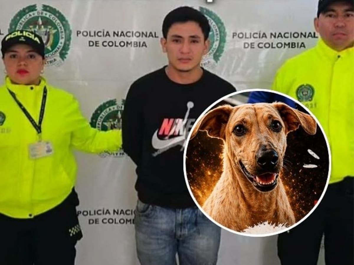 A la cárcel responsable de la muerte de Kira en Bucaramanga. Juez dicta medida de aseguramiento