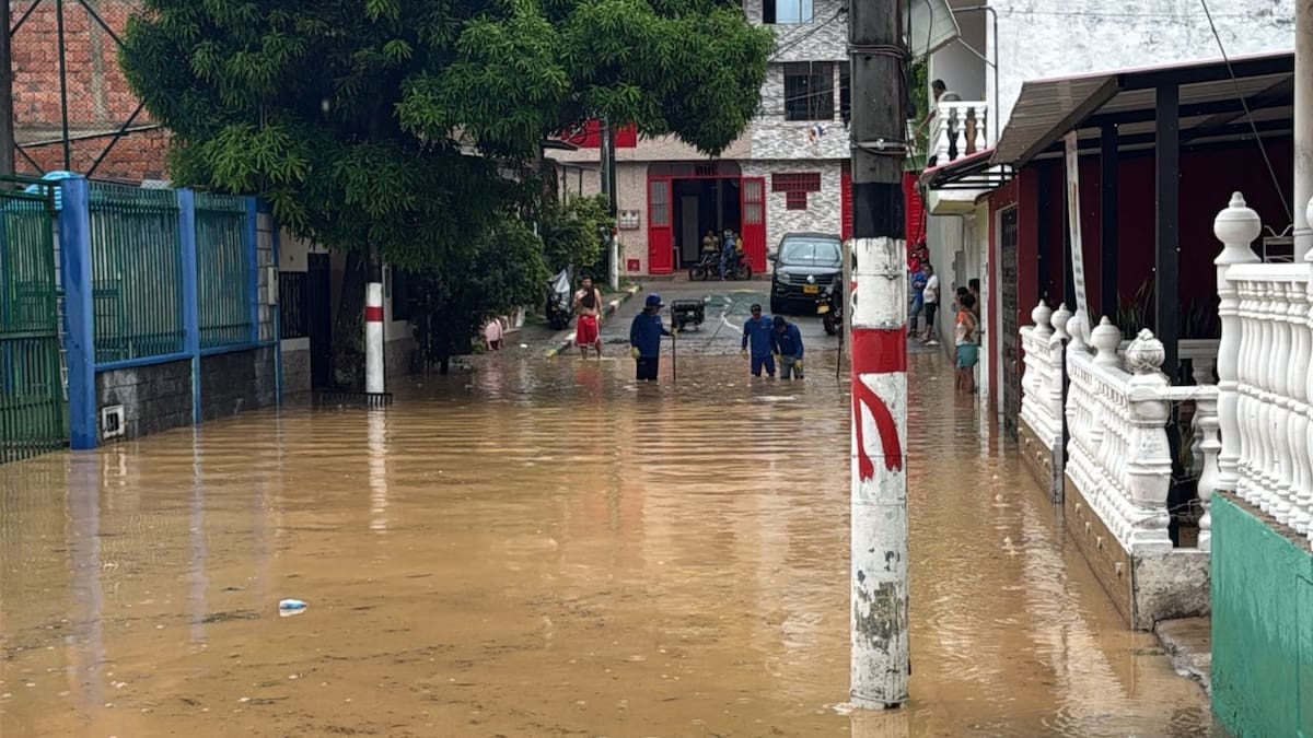 Fuertes lluvias causan inundaciones, derrumbes y caída de árboles en Melgar