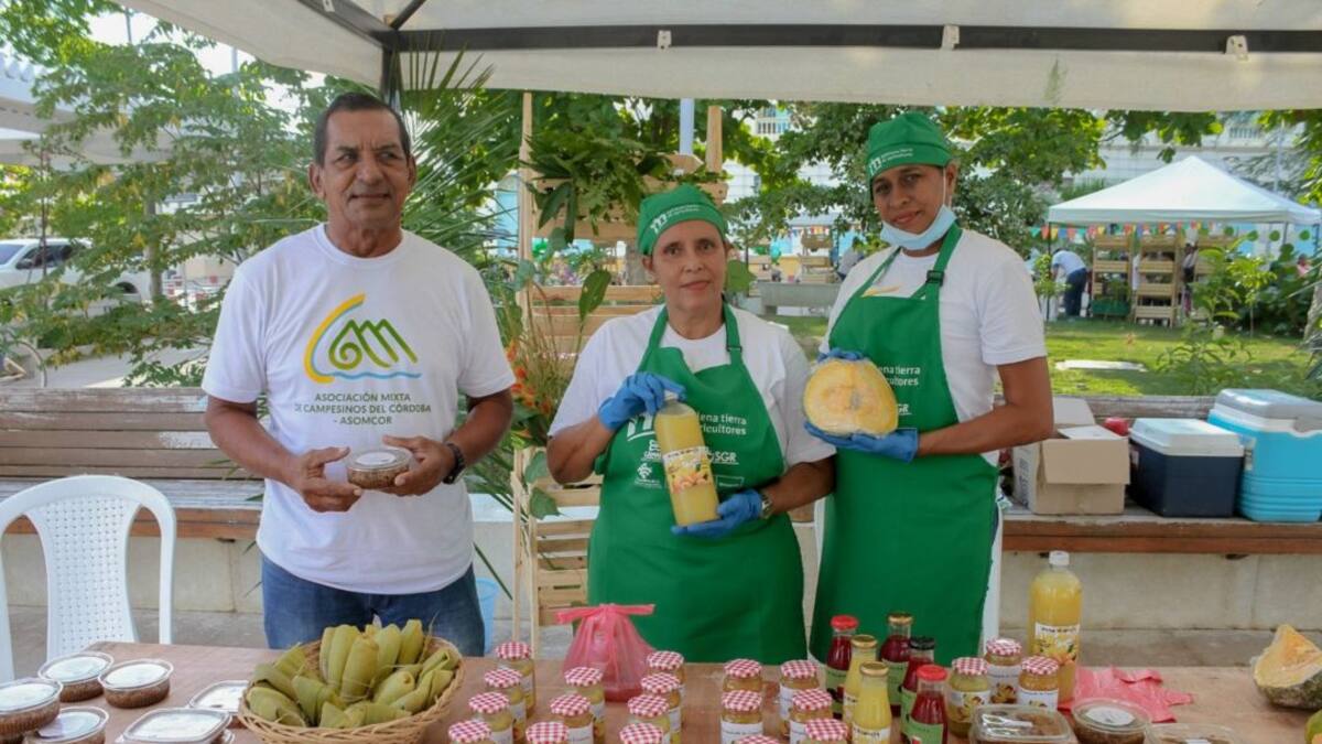 En el Magdalena impulsan la reactivación económica campesina de la Sierra