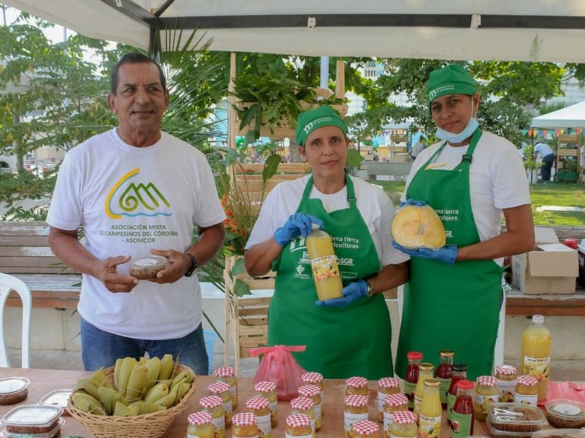 En el Magdalena impulsan la reactivación económica campesina de la Sierra