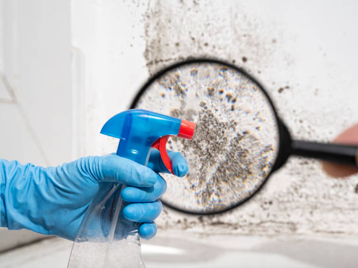 4 soluciones para la humedad del techo del baño ¿Qué la genera y cómo eliminarla?: receta casera