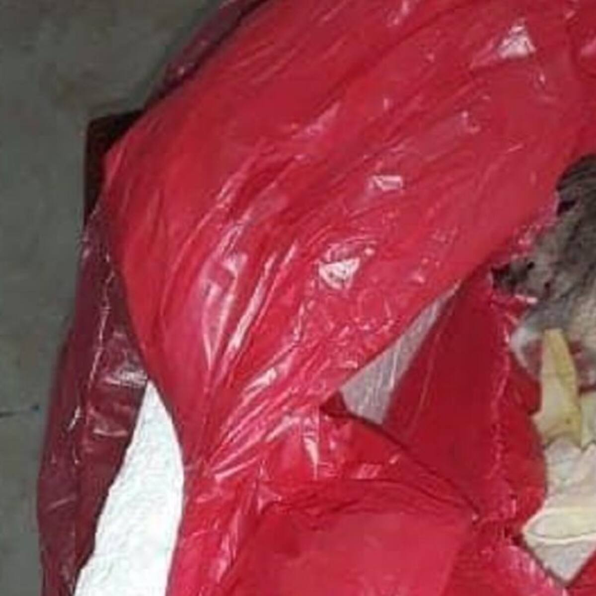No aparece el cuerpo de la bebé que habría muerto al nacer en Tuluá