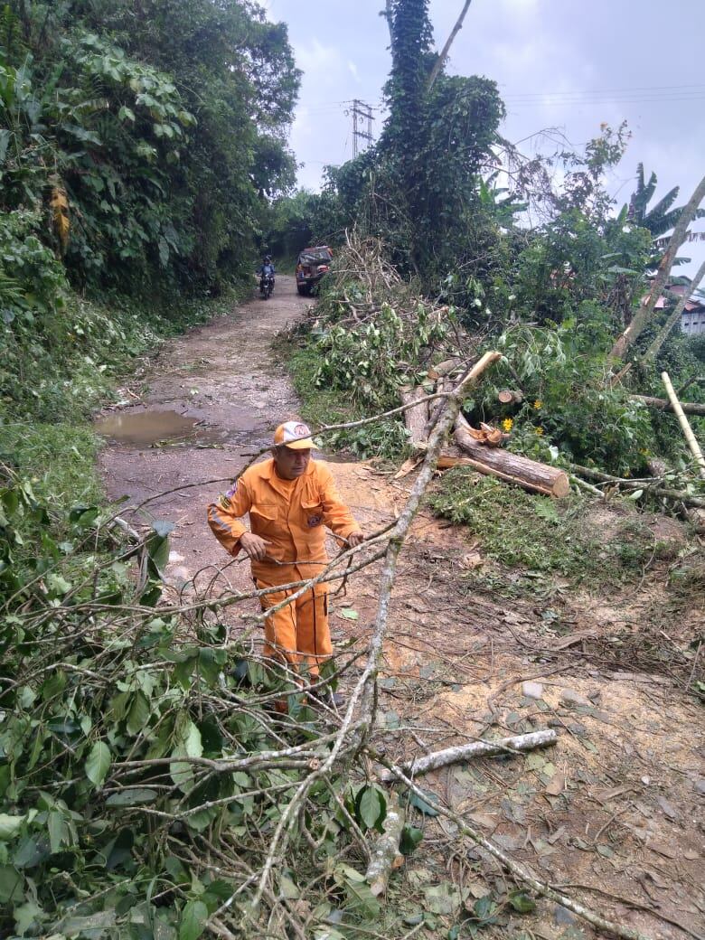 Fuertes lluvias afectan varias zonas del Tolima.
