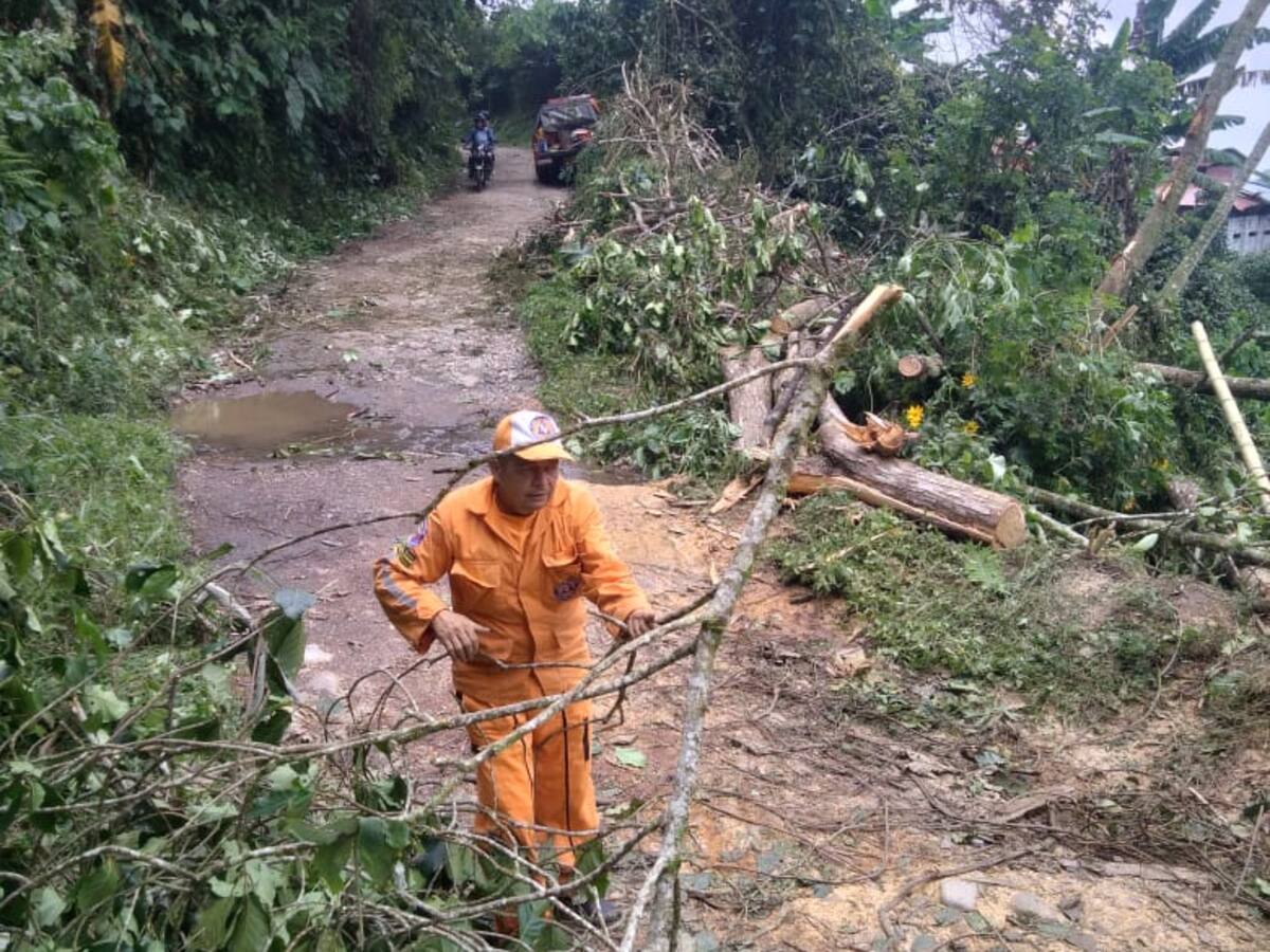 Emergencias en varios municipios del Tolima por fuertes lluvias