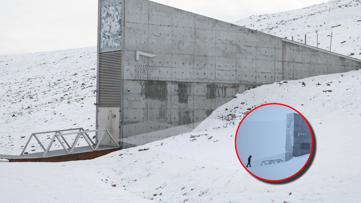 Este búnker y su interior salvarían la humanidad del Apocalipsis: así es la Bóveda del fin del mundo