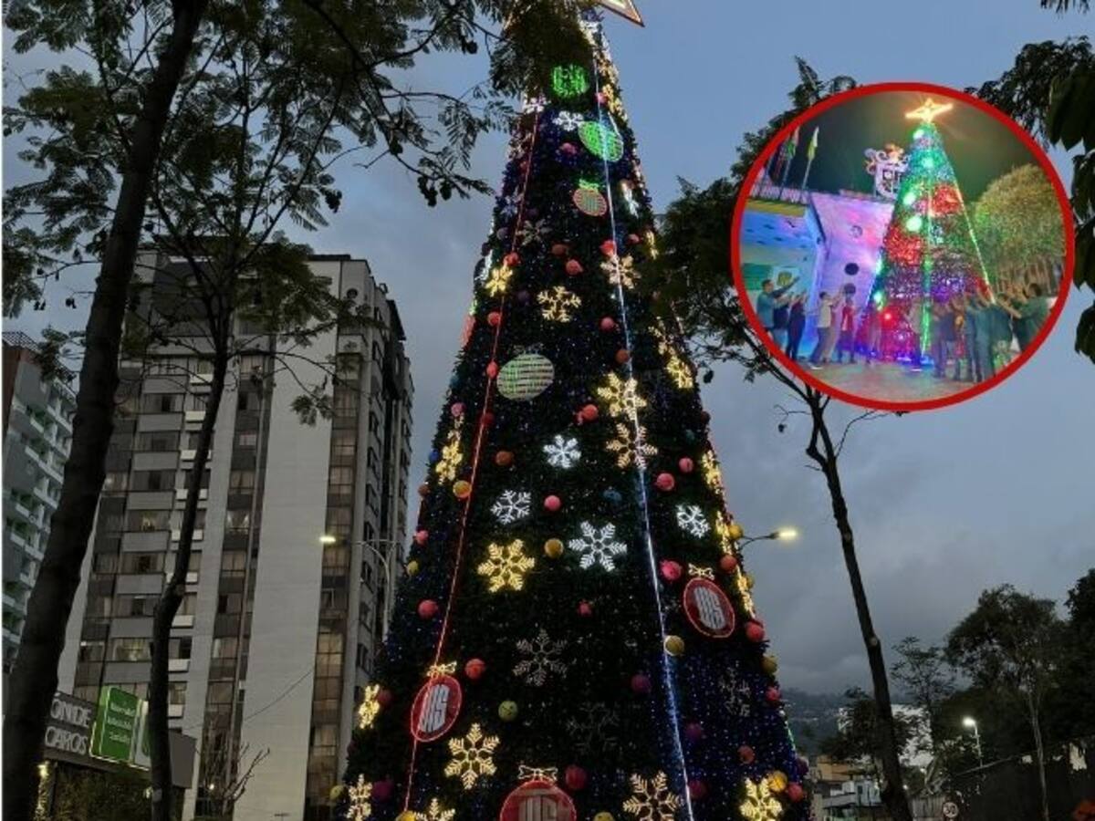 La UIS enciende la Navidad con tres gigantescos árboles navideños en Bucaramanga
