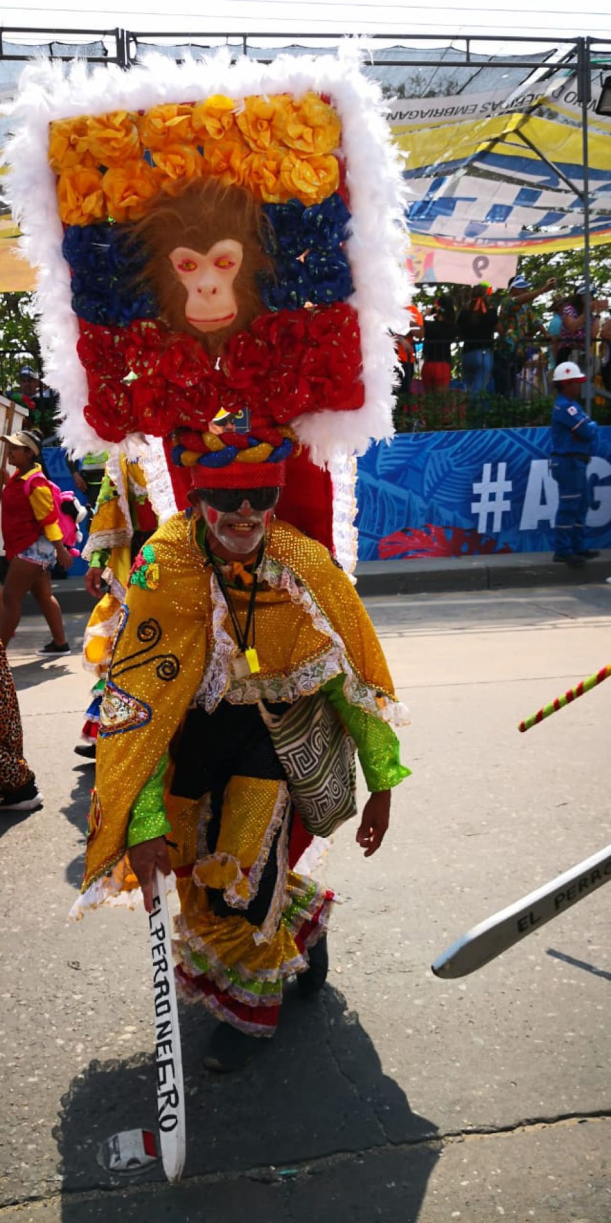 Representado al país