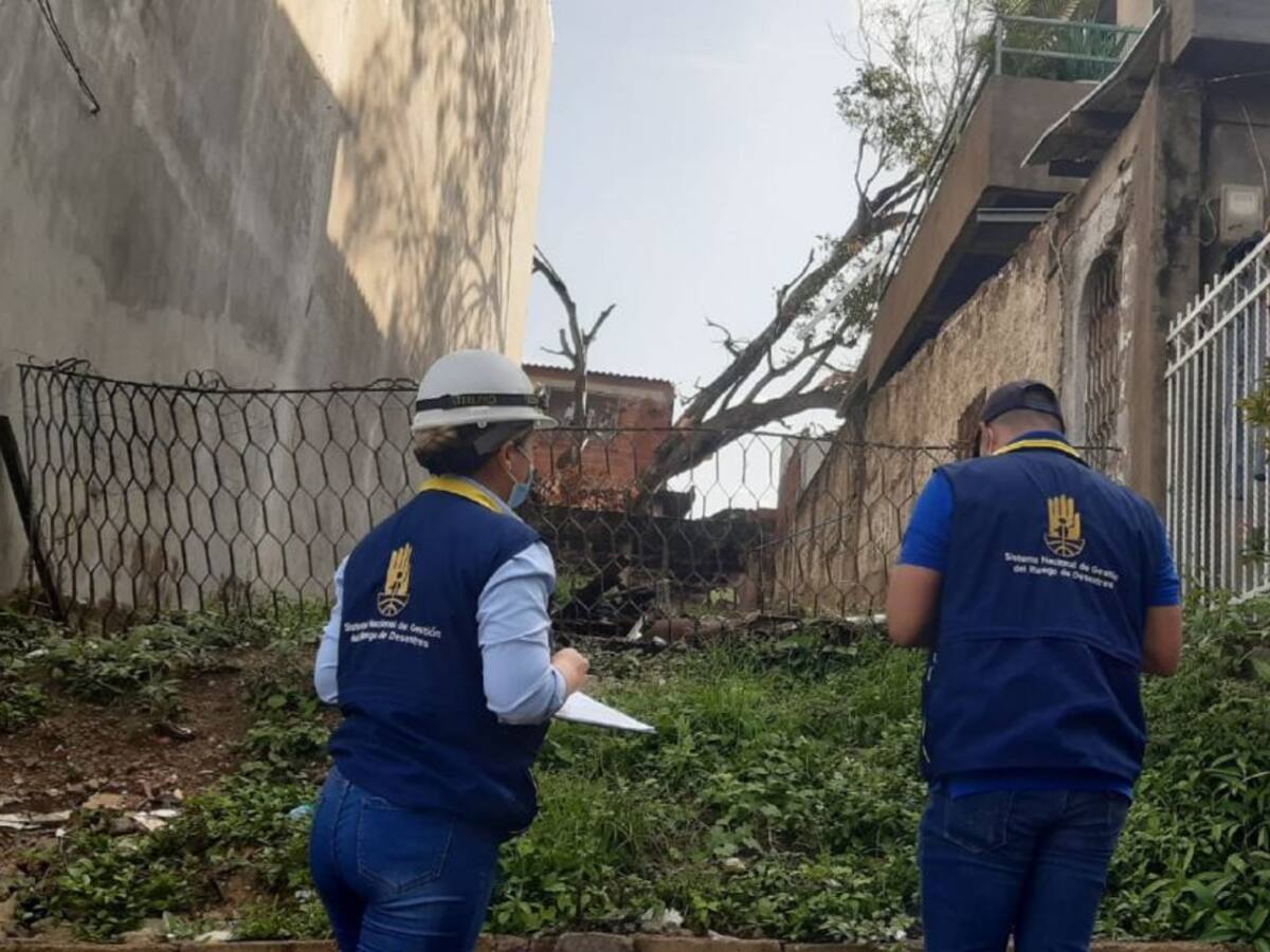 Árboles caídos e inundaciones tras fuerte aguacero en Cartagena