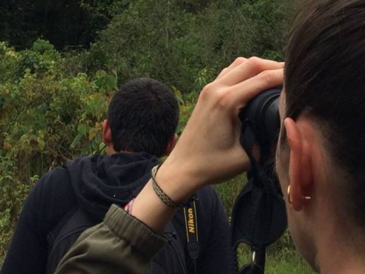 Análisis de los pro y contras del proyecto de un eco hotel en La Florida