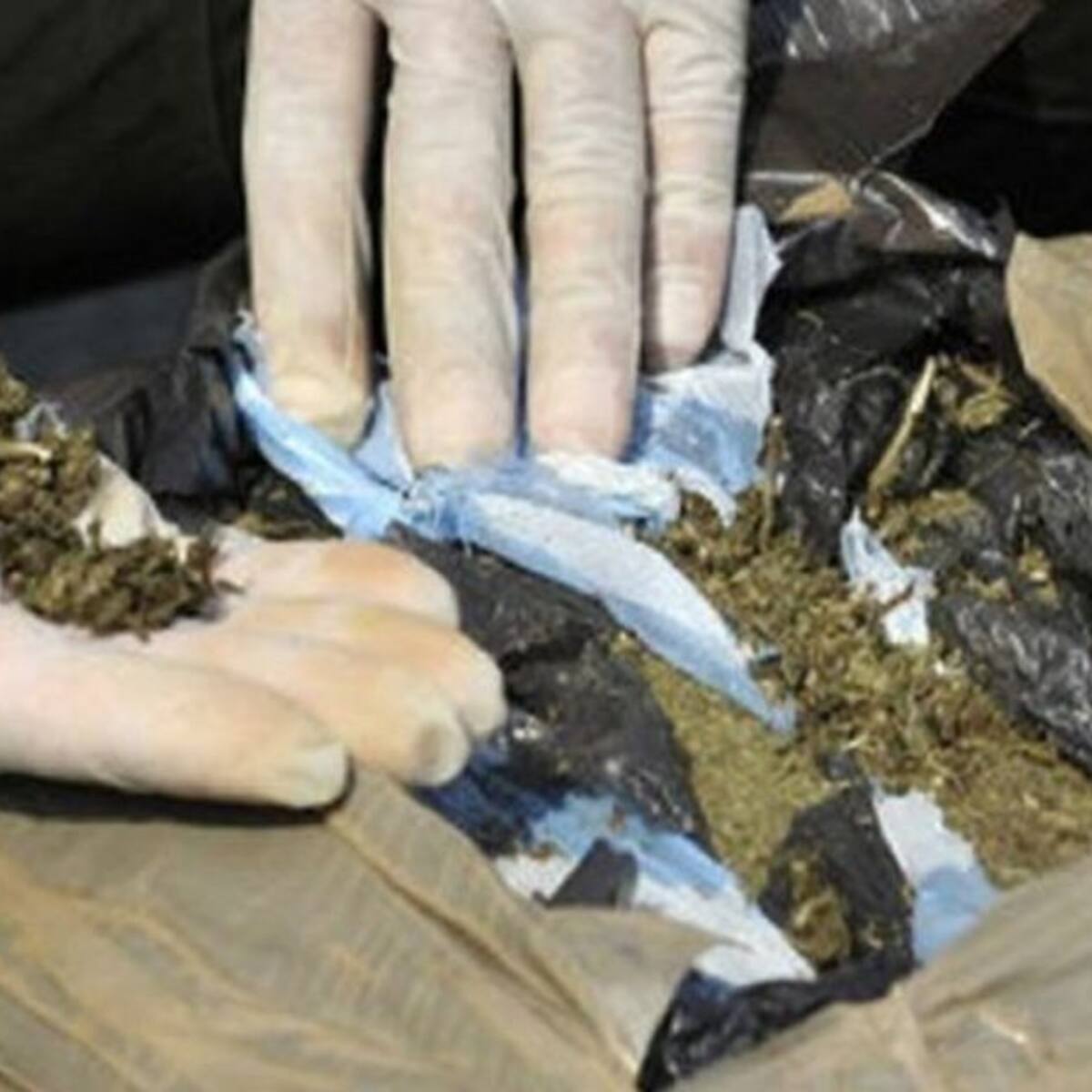 La creatividad y la astucia de las mafias del narcotráfico no tienen límite