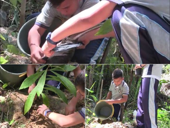 Foto: Cortesía Colegio Angulo.