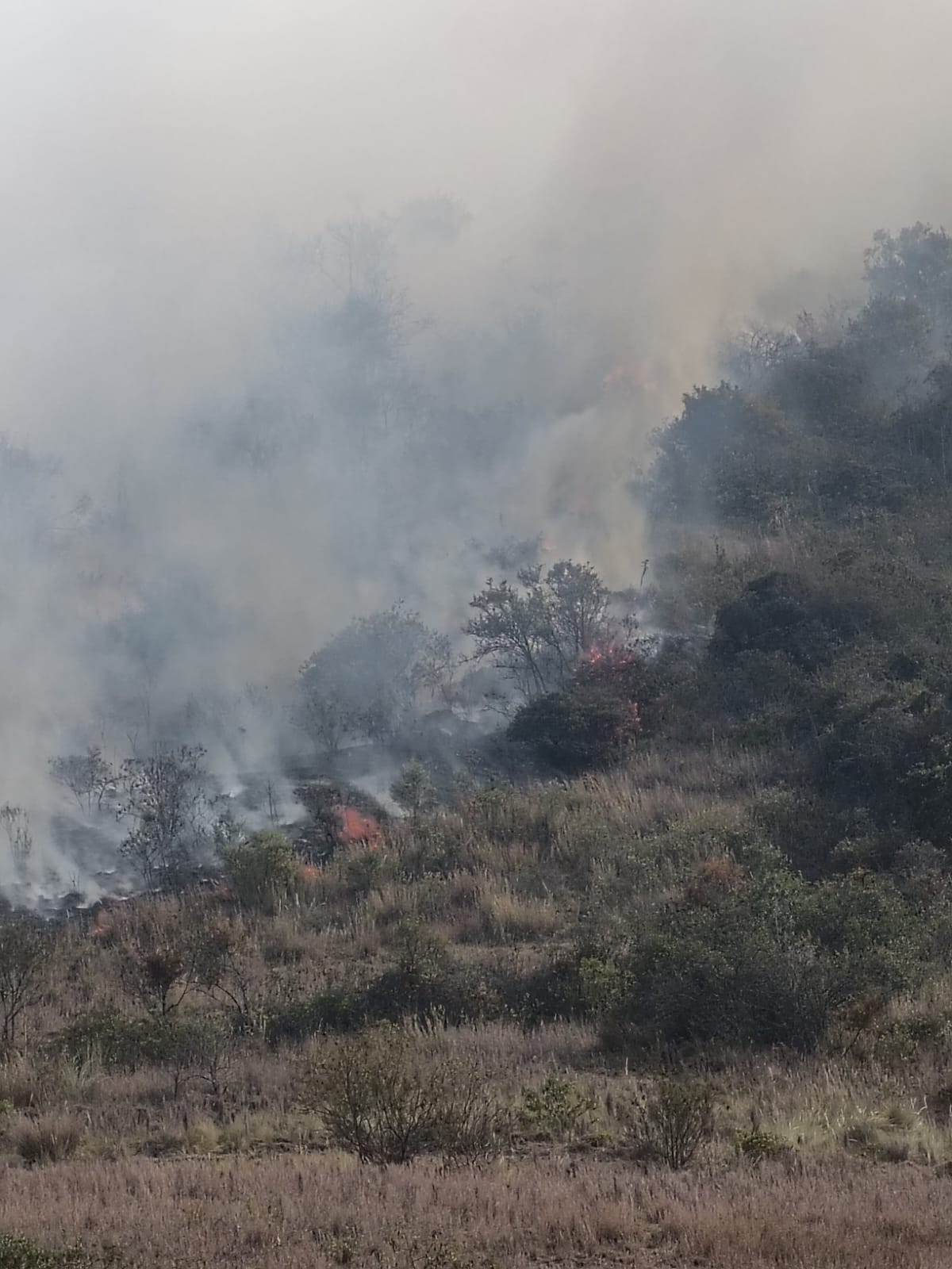 El alcalde destaca la colaboración de los cuerpos de socorro y la comunidad en la lucha contra el fuego, mientras se evalúan acciones para mitigar el impacto ambiental.